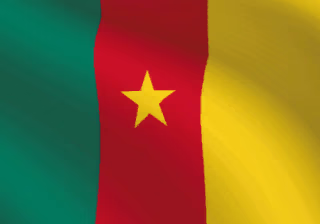 Cameroon flag