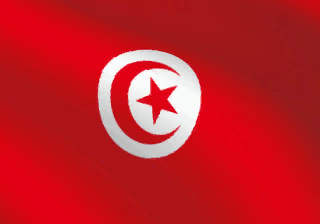 Tunisia flag